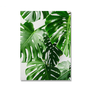 Plant canvas - masterpiece of interior design